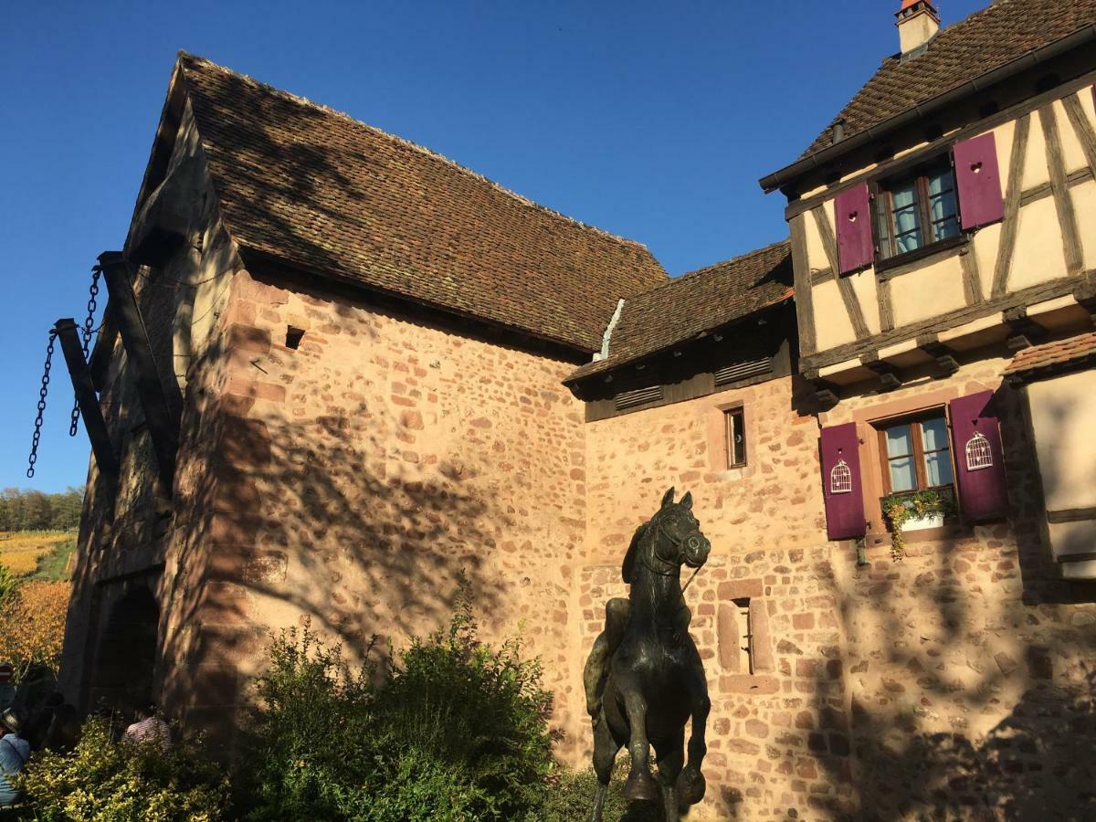 Laterale Residences Riquewihr Zewnętrze zdjęcie